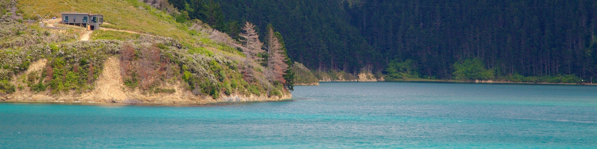 Queen Charlotte Sound showing forests and a bay or harbor