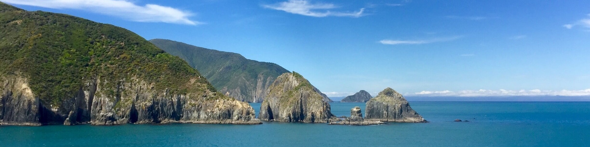 Views from the Interislander ferry
#blue