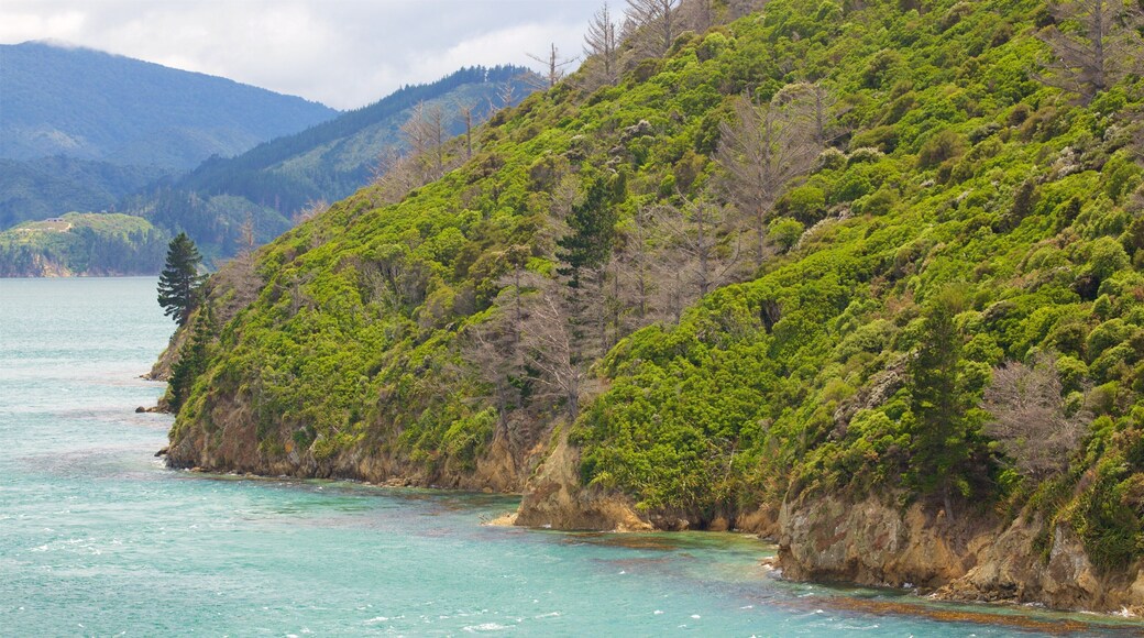 Queen Charlotte Sound showing forest scenes, mountains and a bay or harbour