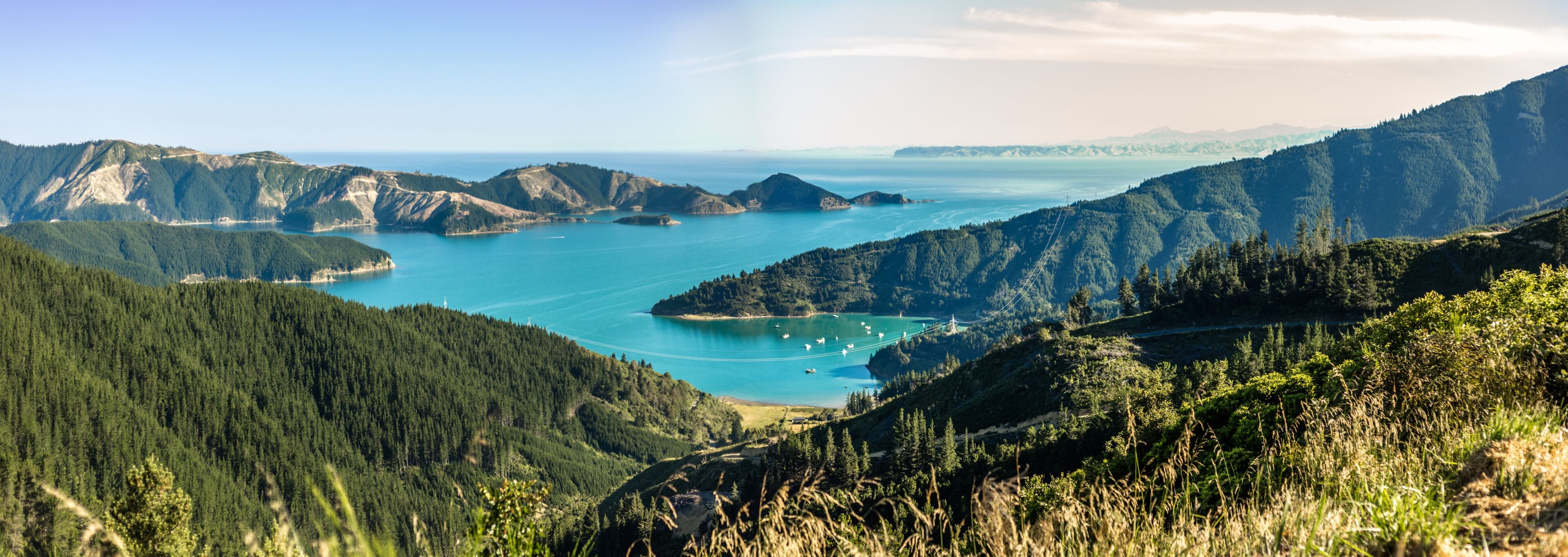 Un paisaje costero con una bahía, colinas boscosas y cielo despejado.