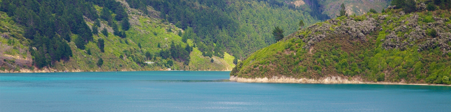 Queen Charlotte Sound mit einem Berge und Bucht oder Hafen