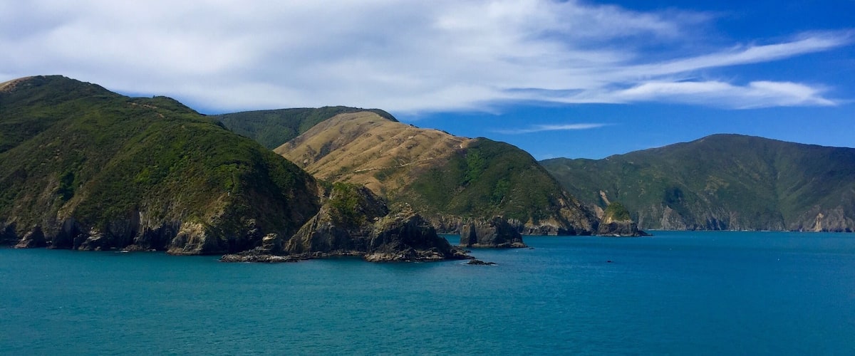 Views from the Interislander ferry
#blue