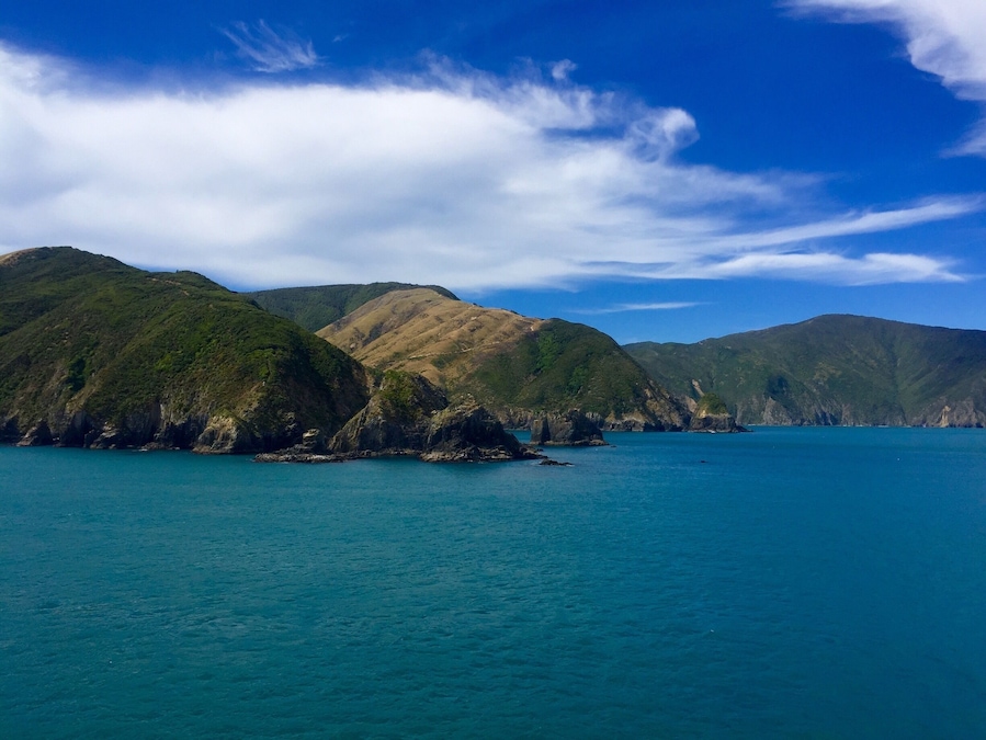 Views from the Interislander ferry
#blue