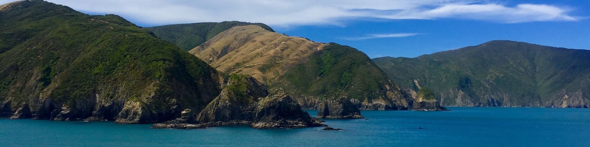 Views from the Interislander ferry
#blue