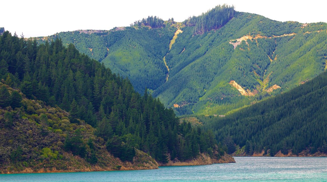 Queen Charlotte Sound showing a bay or harbor, mountains and forests