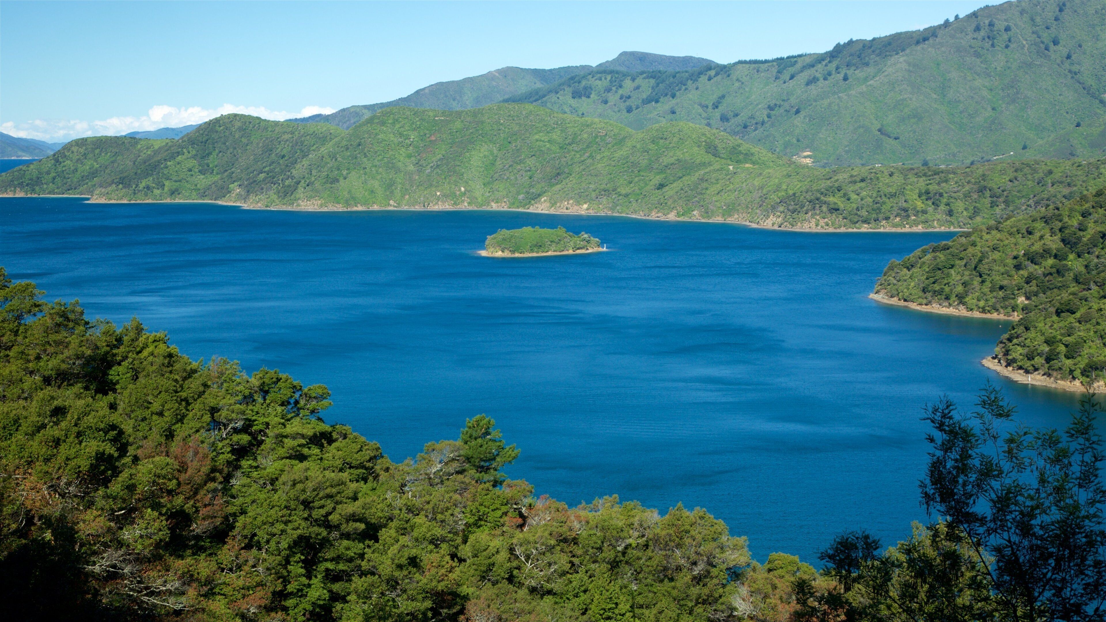 Queen Charlotte Sound showing a bay or harbour, mountains and forests