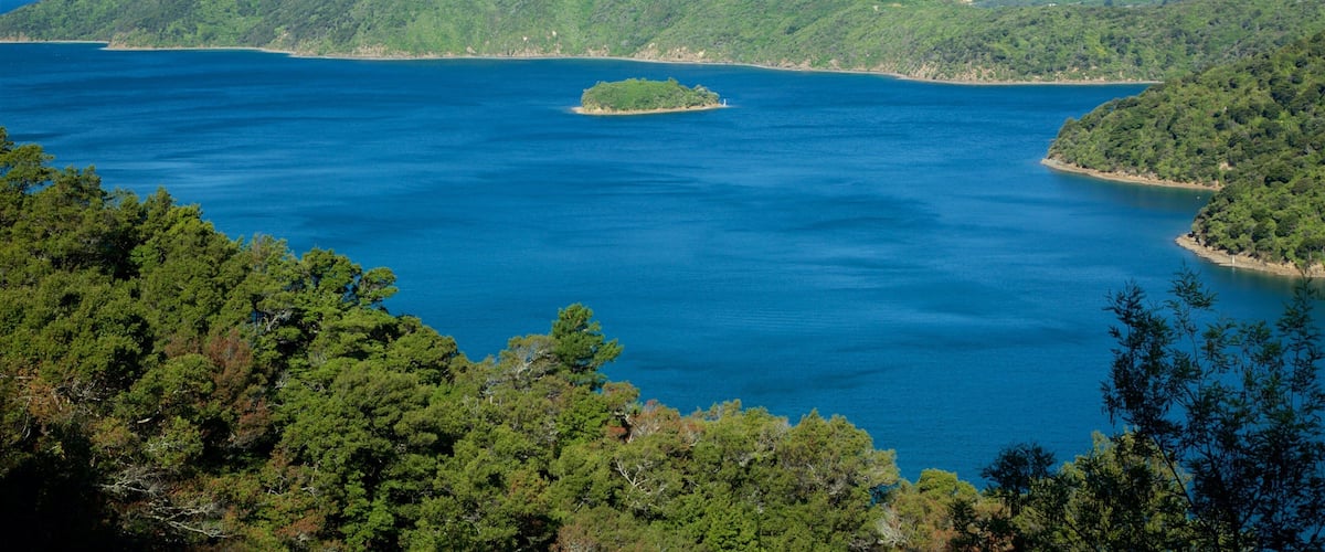 Queen Charlotte Sound có tính năng rừng rậm, cảng hoặc vịnh và những ngọn núi