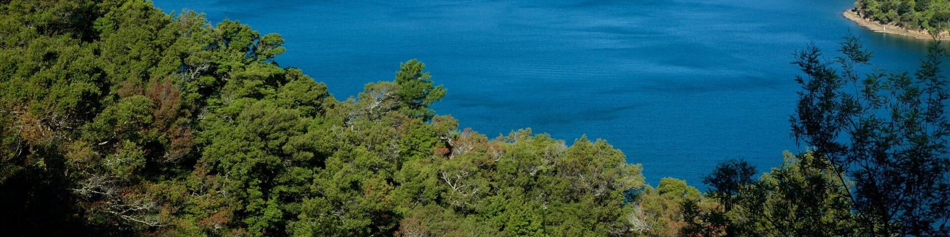 Queen Charlotte Sound showing forests, mountains and a bay or harbor
