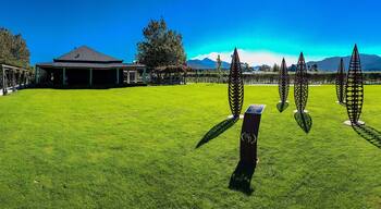 Excellent wines and a great place for lunch!