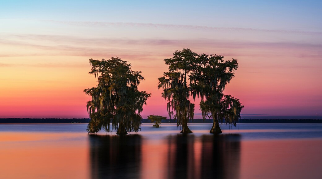 Lake Moultrie South Carolina