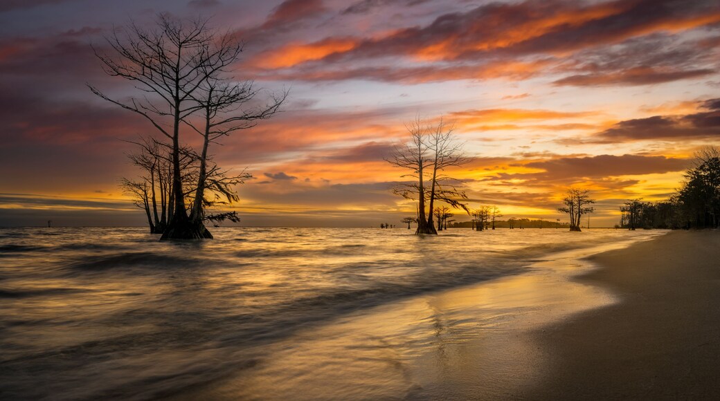 Sunrise at Lake Moultrie