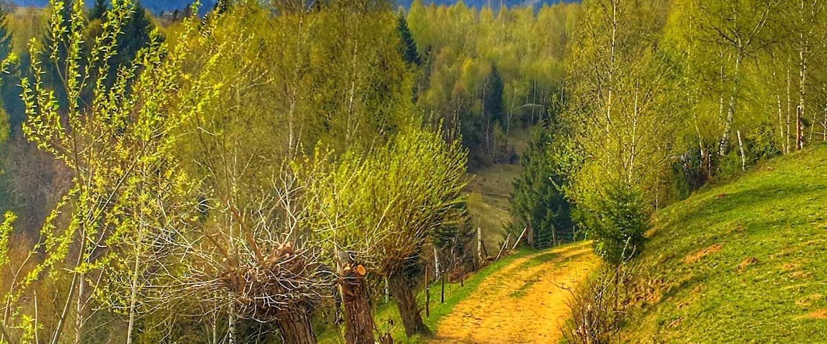 Small mountain village, where roads are still like hundreds of years ago, where people still live the life of our greatparents and great-great parents. Stunning views!