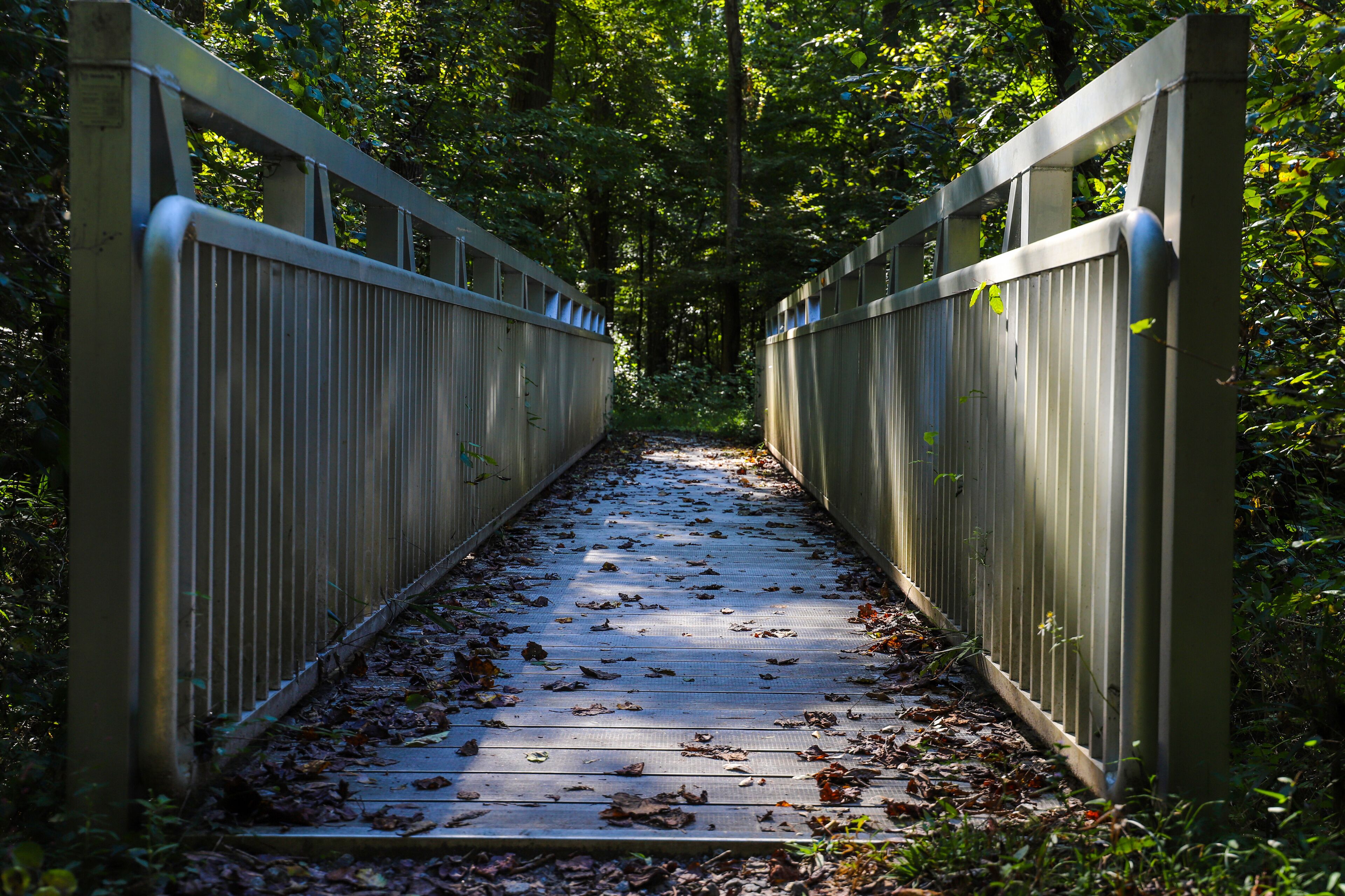 a shot of a long gray metal bridge over the river covered with fallen autumn leaves surrounded by lush green trees at Jones Bridge Park Trail in Johns Creek Georgia USA
