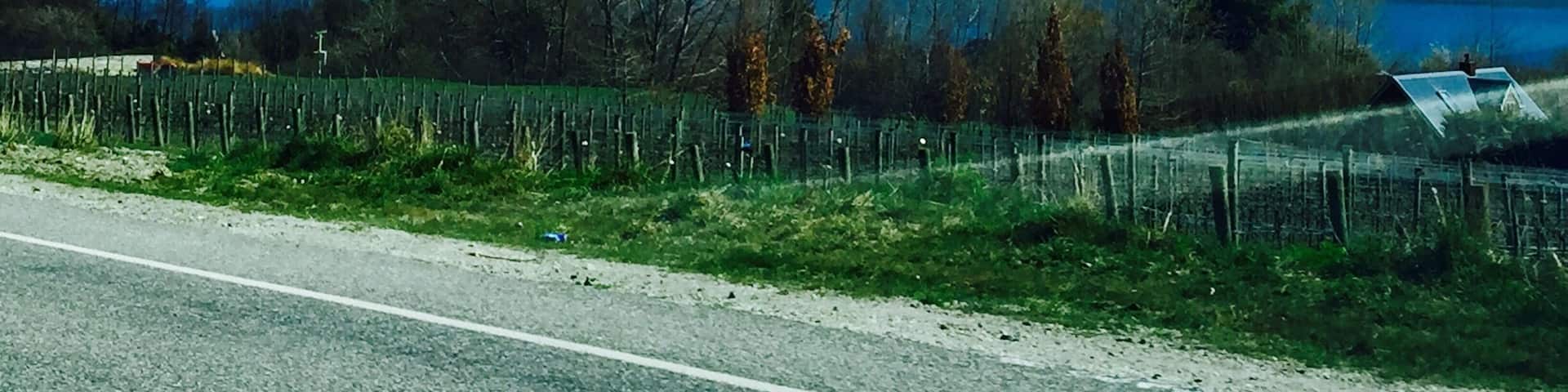 A view taken from the car on the way to Queenstown