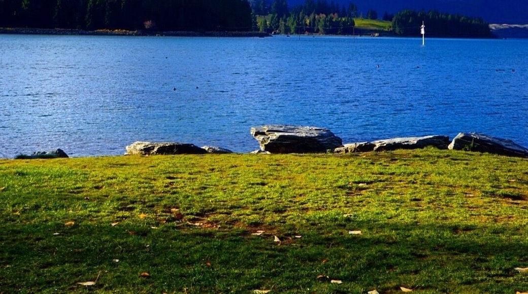 The drive to Arrowtown & Queenstown was absolutely beautiful. The landscape changed all the time - one moment we were driving next to beautiful lakes and lush green fields - only to then find ourselves in a perfect wintery snowy wonderland a few hours later.
What is your favorite scenic drive in New Zealand? Well...i guess all drives in NZ would be scenic.... :) #alifefullofserendipity #serendipitytess #travel #travelling #travelblogger #nomad #globetrotter #rtw #wanderlust #photooftheday #adventure #travelphotography #photo #newzealand #southisland
#NZmustdo #lake #nature #view #landscape #happiness #cloud #paradise #naturelovers #nature_perfection