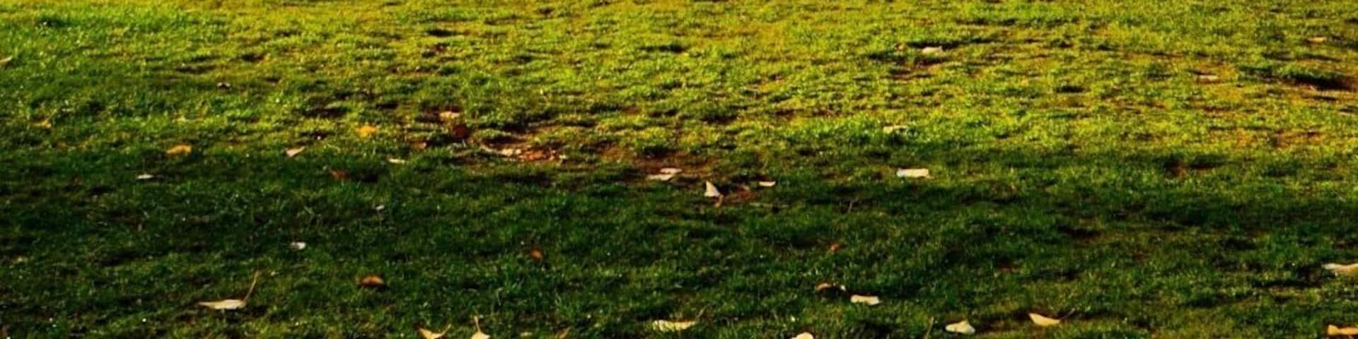 The drive to Arrowtown & Queenstown was absolutely beautiful. The landscape changed all the time - one moment we were driving next to beautiful lakes and lush green fields - only to then find ourselves in a perfect wintery snowy wonderland a few hours later.
What is your favorite scenic drive in New Zealand? Well...i guess all drives in NZ would be scenic.... :) #alifefullofserendipity #serendipitytess #travel #travelling #travelblogger #nomad #globetrotter #rtw #wanderlust #photooftheday #adventure #travelphotography #photo #newzealand #southisland
#NZmustdo #lake #nature #view #landscape #happiness #cloud #paradise #naturelovers #nature_perfection