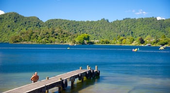 Lac Okareka qui includes lac ou étang