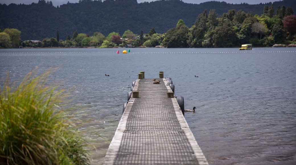 Lake Okareka is a small lake near Rotorua with a beautiful little settlement.