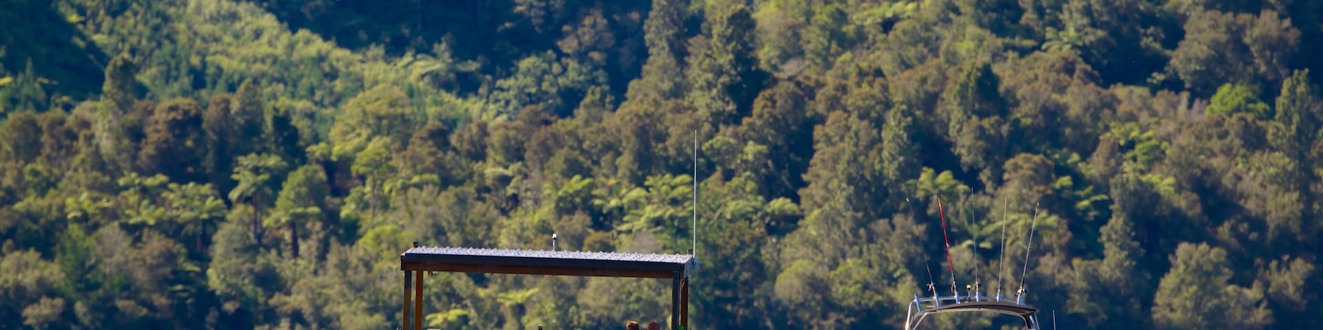 Lake Okareka which includes boating and a lake or waterhole