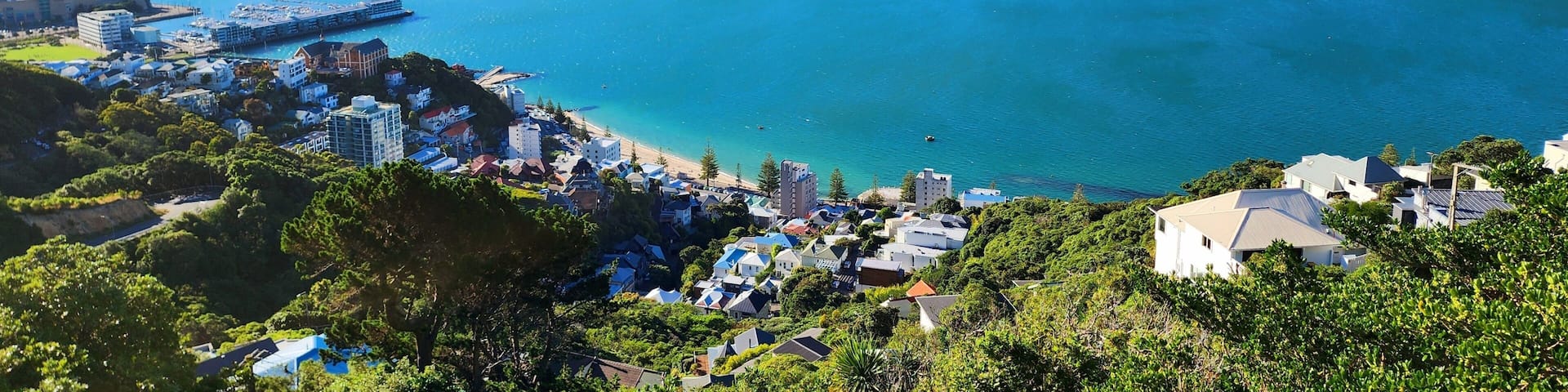 A coastal cityscape with a bay, urban buildings, and a hilly backdrop.