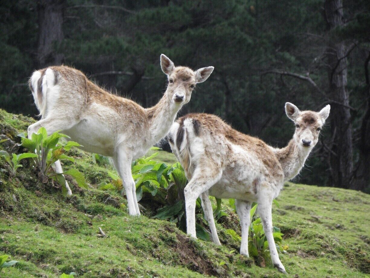 #TroveOn Enjoyed our day out at this place. Lots of animals, birds, flora & fauna. Felt very close to nature.