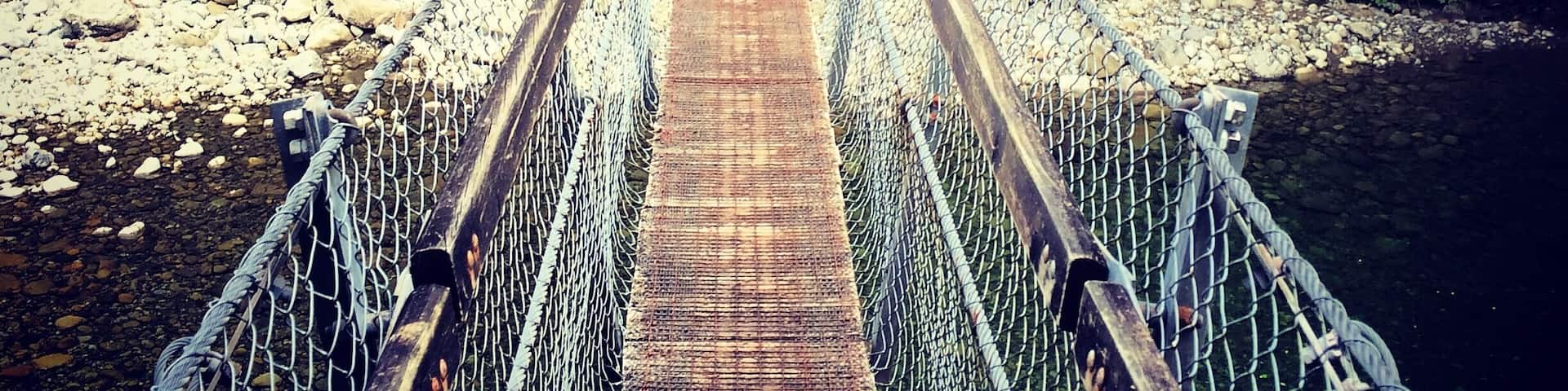 A person walking on a suspension bridge surrounded by dense forest.