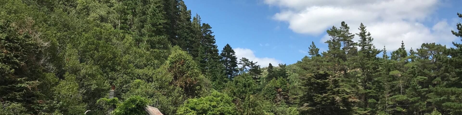 Staglands Wildlife Reserve, Akatarawa Valley, Upper Hutt, Wellington, New Zealand
