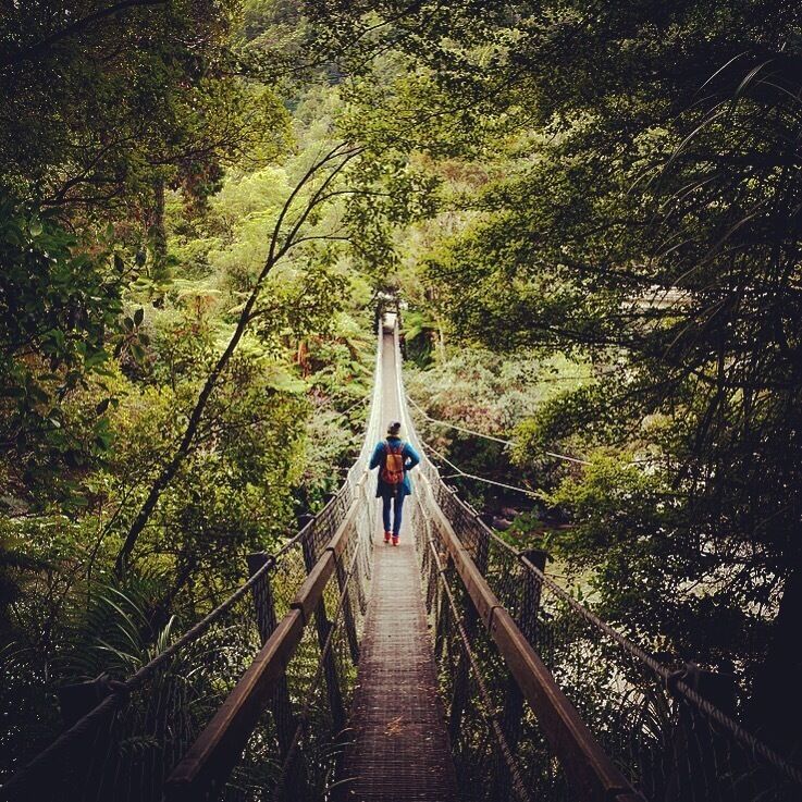 Great day walk in Kaitoke Regional Park. On your way to or from Wellington stop here for a swing on the swing bridge.

#Green #TakeAHike