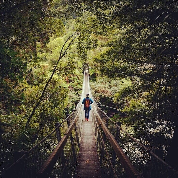 Great day walk in Kaitoke Regional Park. On your way to or from Wellington stop here for a swing on the swing bridge.
#Green #TakeAHike