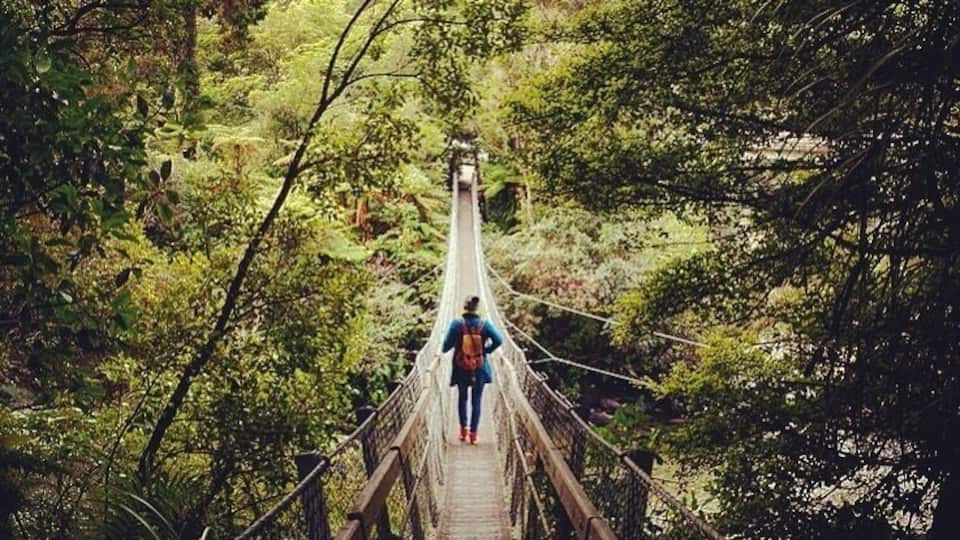 Great day walk in Kaitoke Regional Park. On your way to or from Wellington stop here for a swing on the swing bridge.
#Green #TakeAHike
