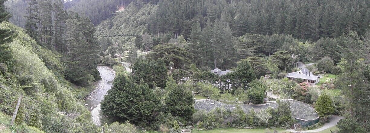 #TroveOn Had a wonderful day at Staglands with the wildlife, flora and fauna.