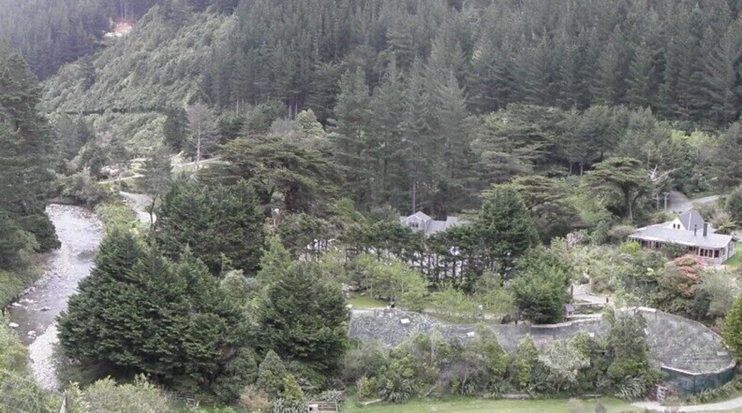 #TroveOn Had a wonderful day at Staglands with the wildlife, flora and fauna.