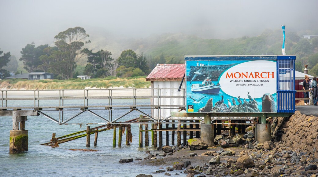 Otago Peninsula which includes signage and general coastal views