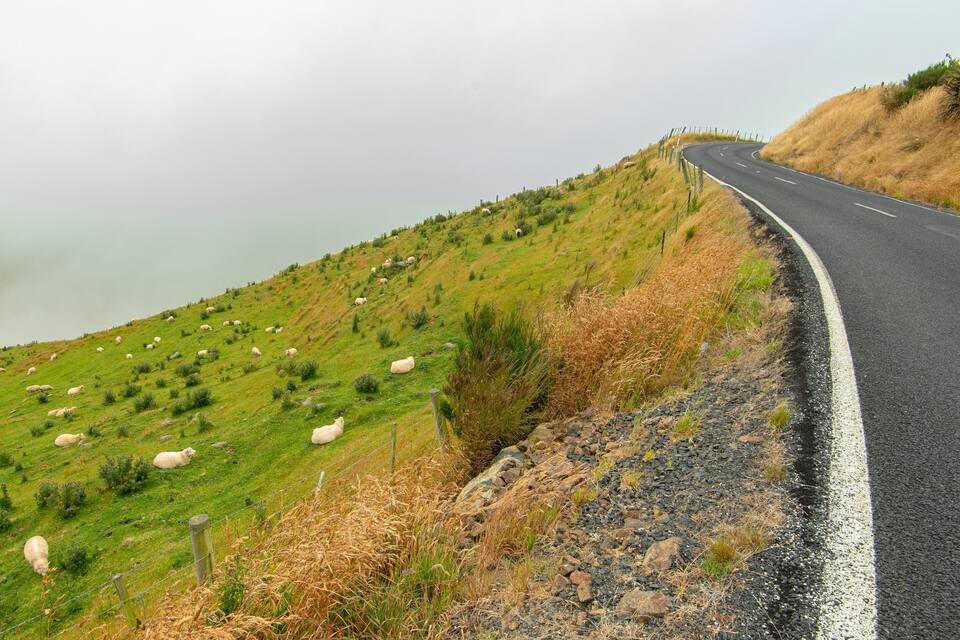 A winding road with a grassy hillside and sheep grazing.