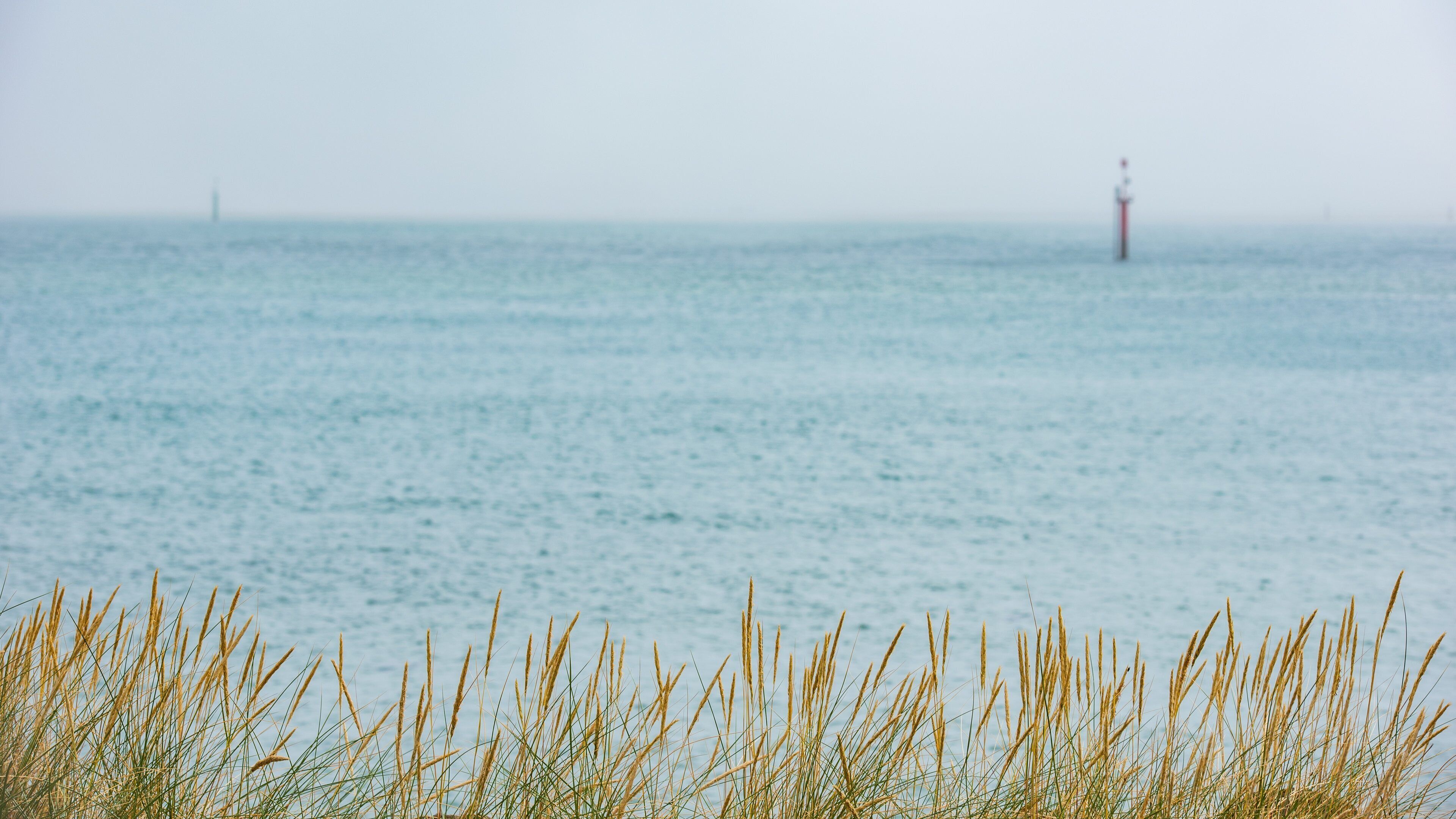 Otago Peninsula featuring general coastal views