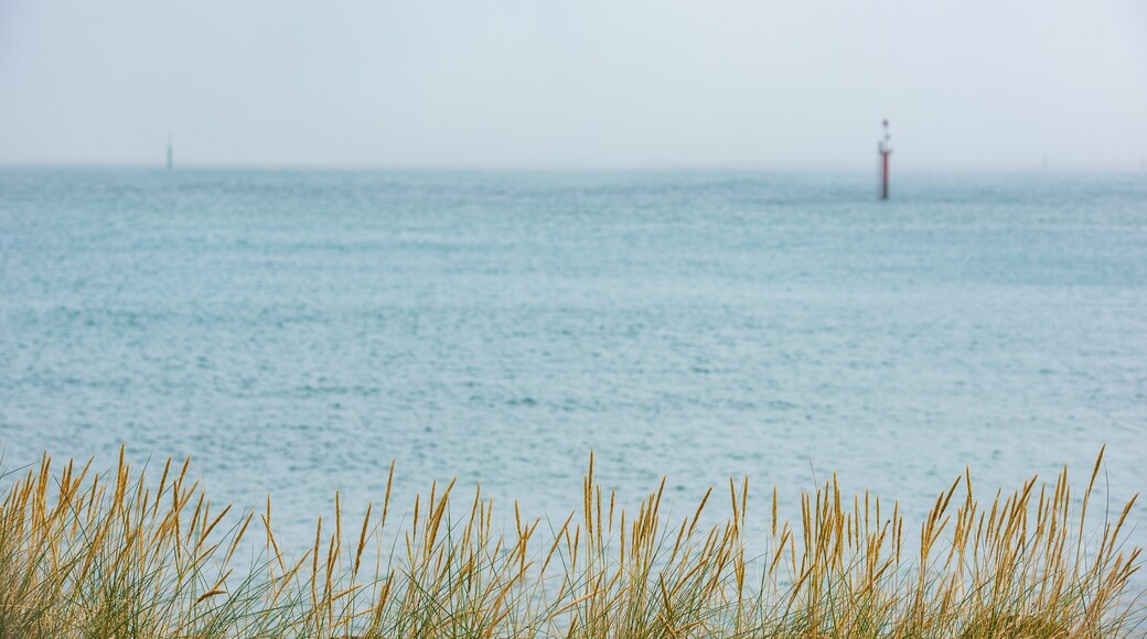 Otago Peninsula featuring general coastal views