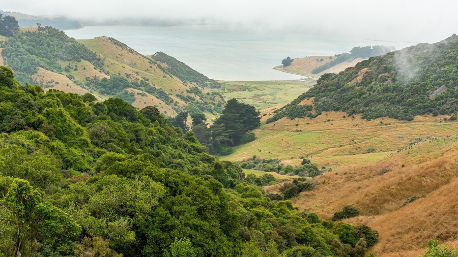 Otago Peninsula showing tranquil scenes and landscape views