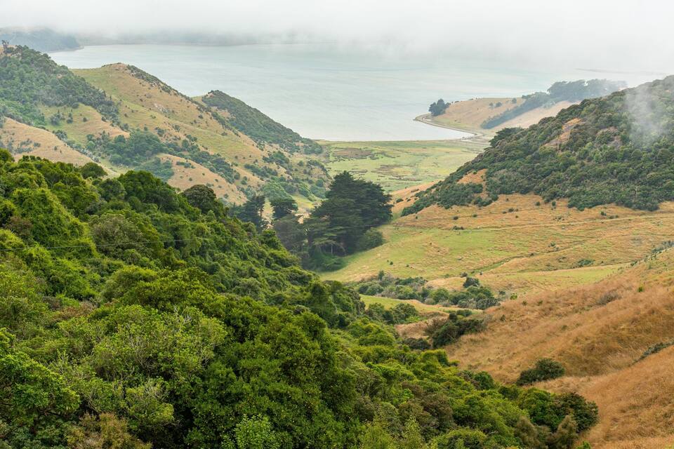 A valley with dense green forests and a distant body of water.