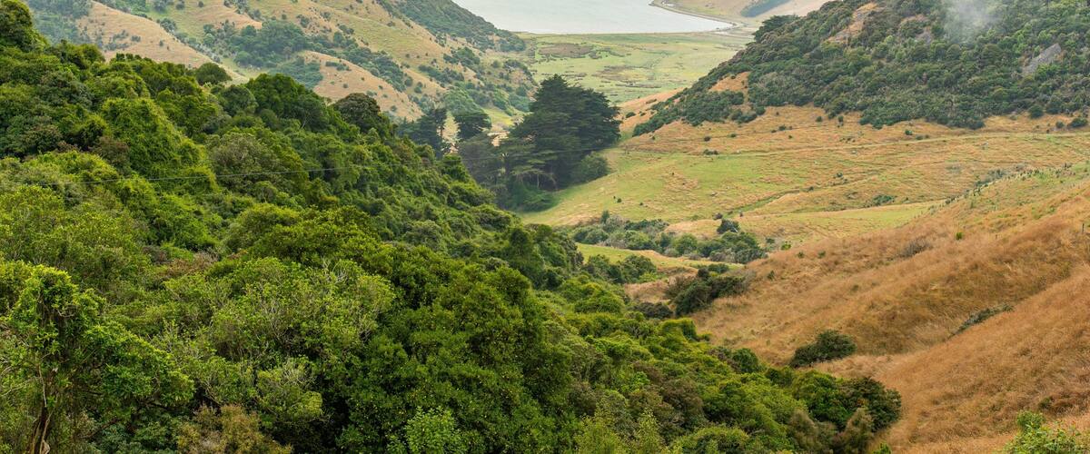 A valley with dense green forests and a distant body of water.