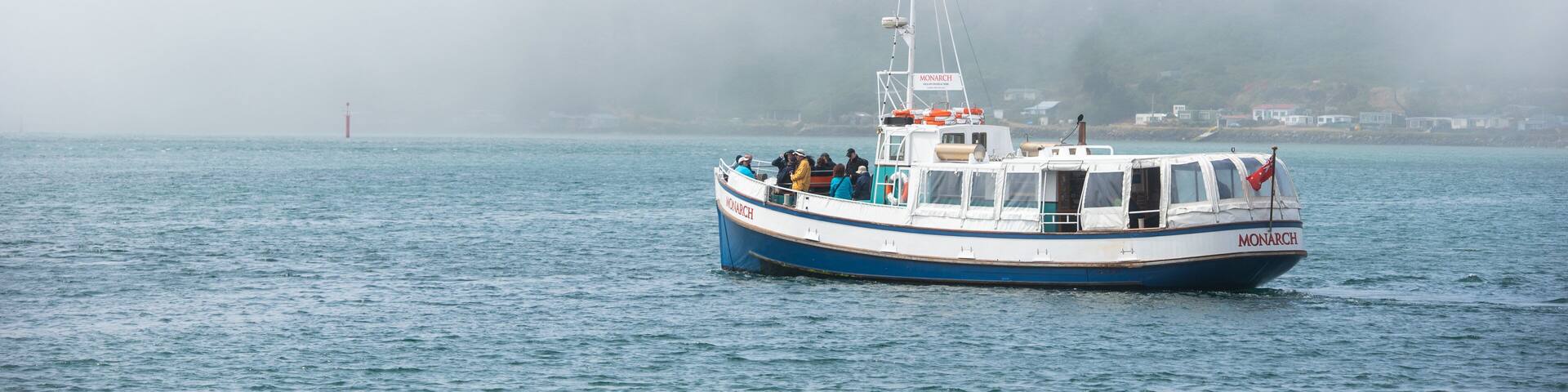 Otago Peninsula showing boating and mist or fog