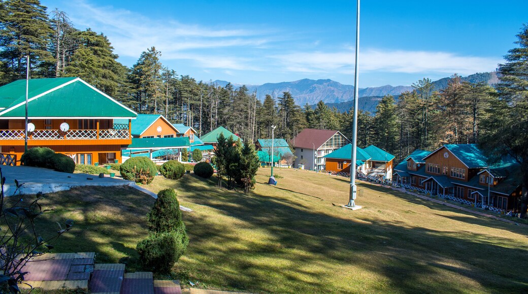 Patnitop