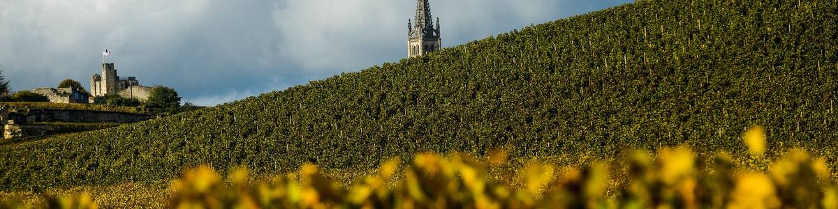 Vineyards of Saint Emilion, Bordeaux, France