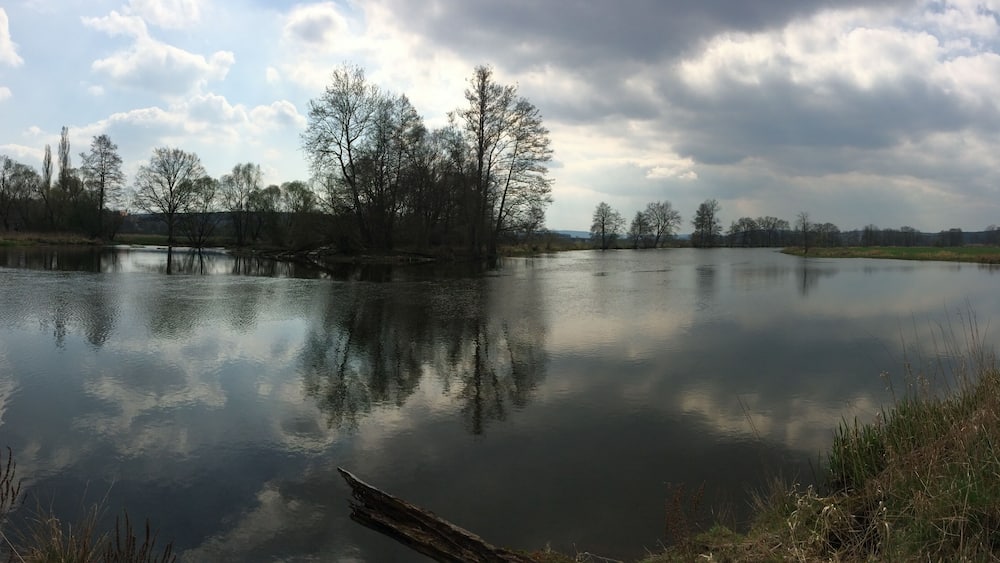 Un lac paisible où se reflètent les arbres et un ciel nuageux.