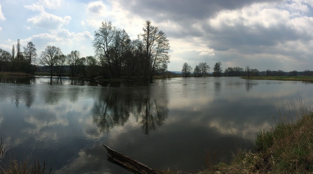 Hollergraben (Wehr) bei Fronberg (Schwandorf)