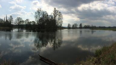 Hollergraben (Wehr) bei Fronberg (Schwandorf)