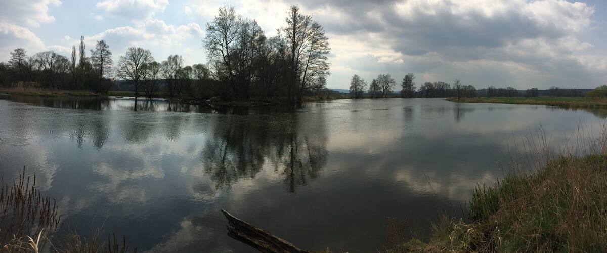 A calm lake with reflections of trees and a cloudy sky.