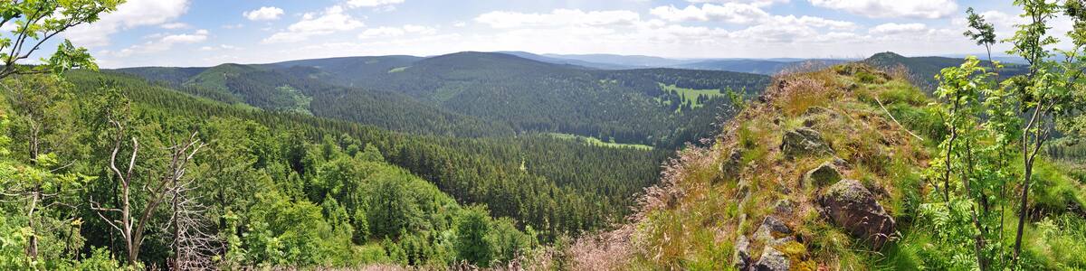 Landschaft im Thüringer Wald