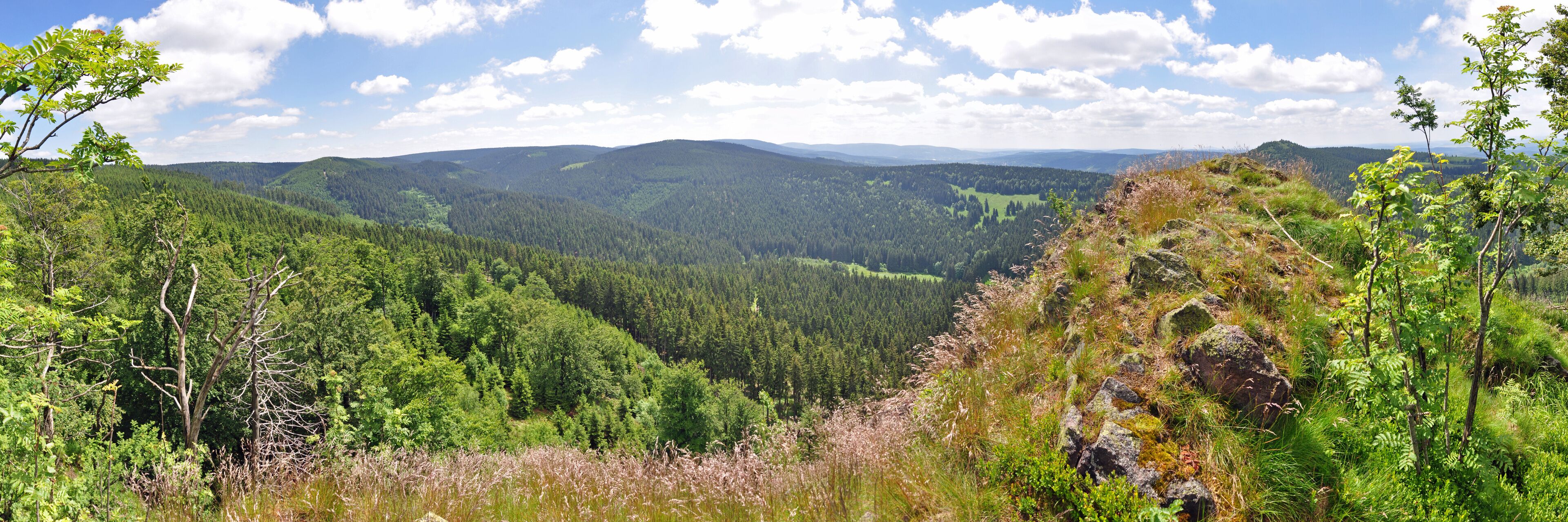 A mountainous landscape with dense forests and a valley.