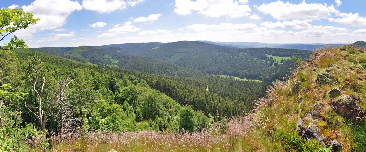 A mountainous landscape with dense forests and a valley.