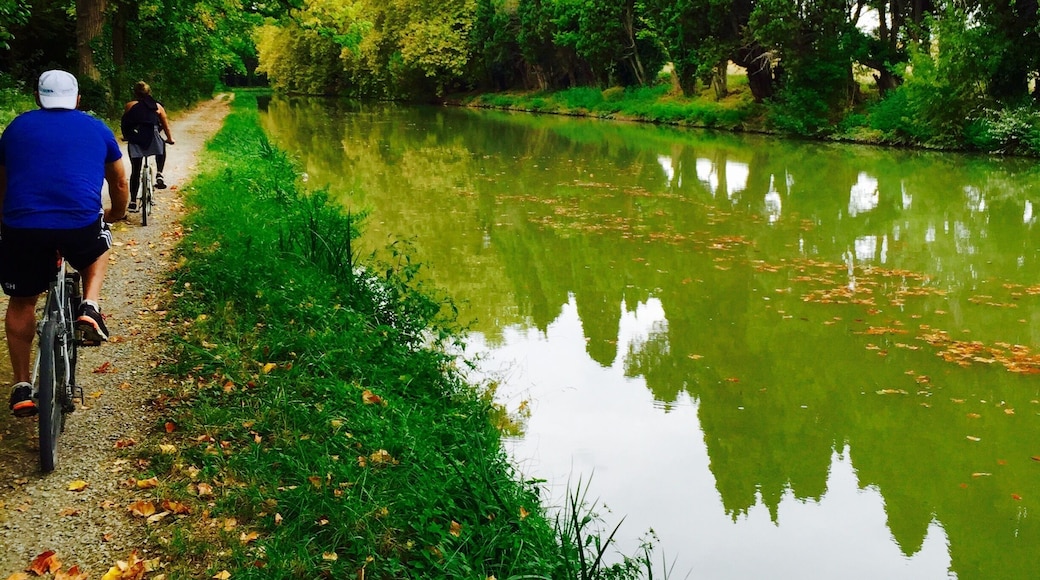 Canal du midi, Southern France.